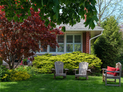Tree & Shrub Maintenance by Froess Outdoor Services